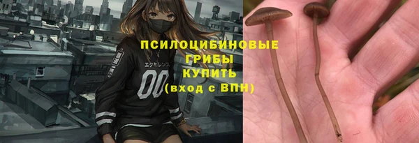 гашиш Богородицк